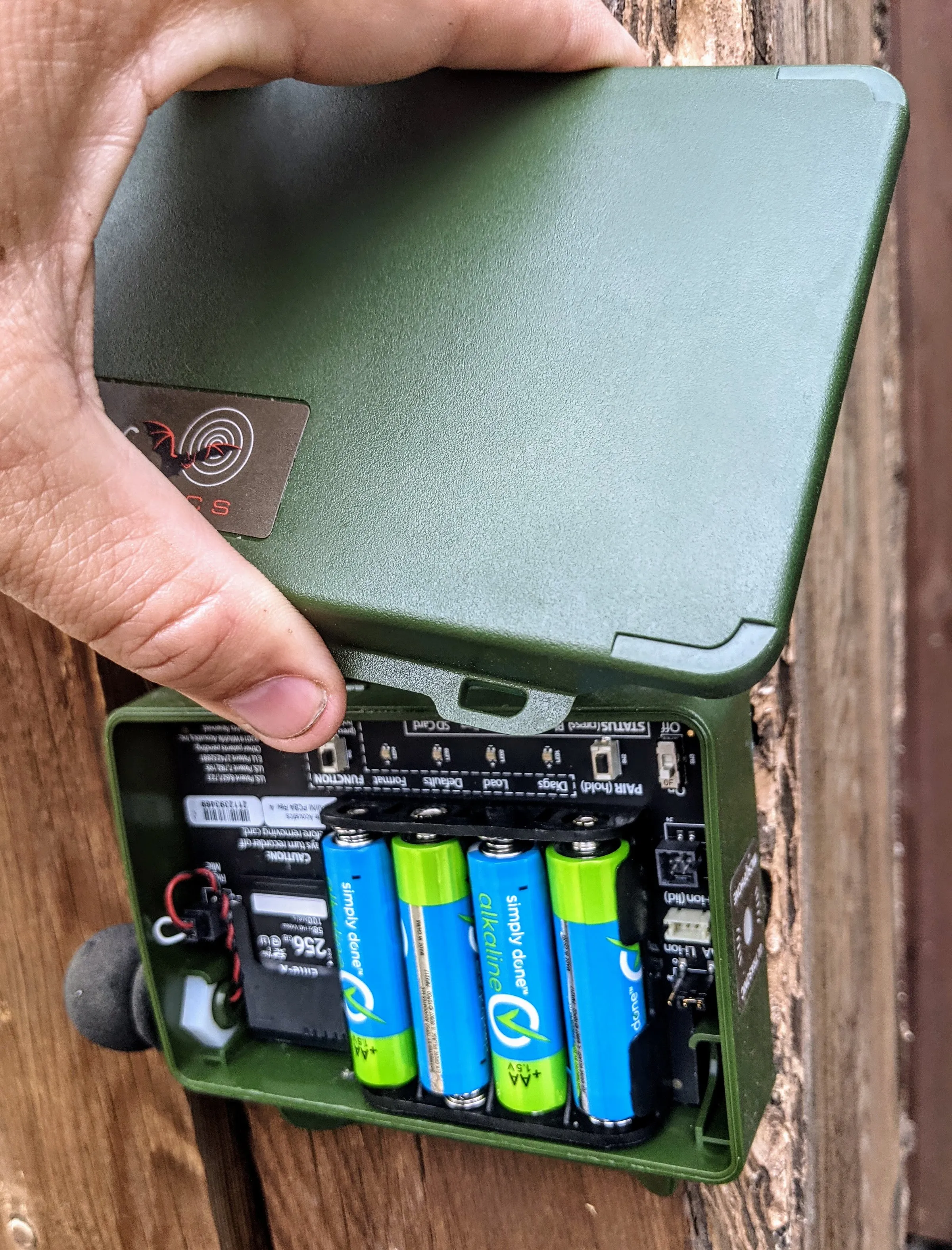 A hand lifting the lid of a green autonomous audio recorder strapped to a tree, showing four AA batteries and a memory card inside.