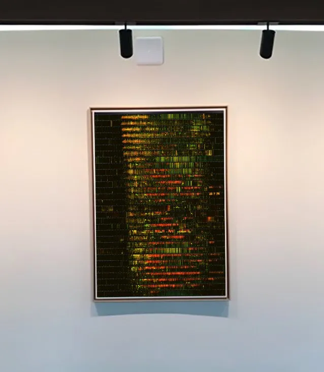The one-month spectrogram print in a light wood floating frame, hanging on a gallery wall under two track lights.